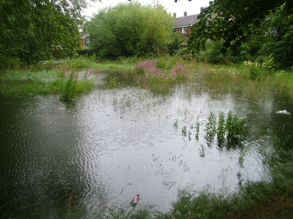 Flood by Sycamore Walk