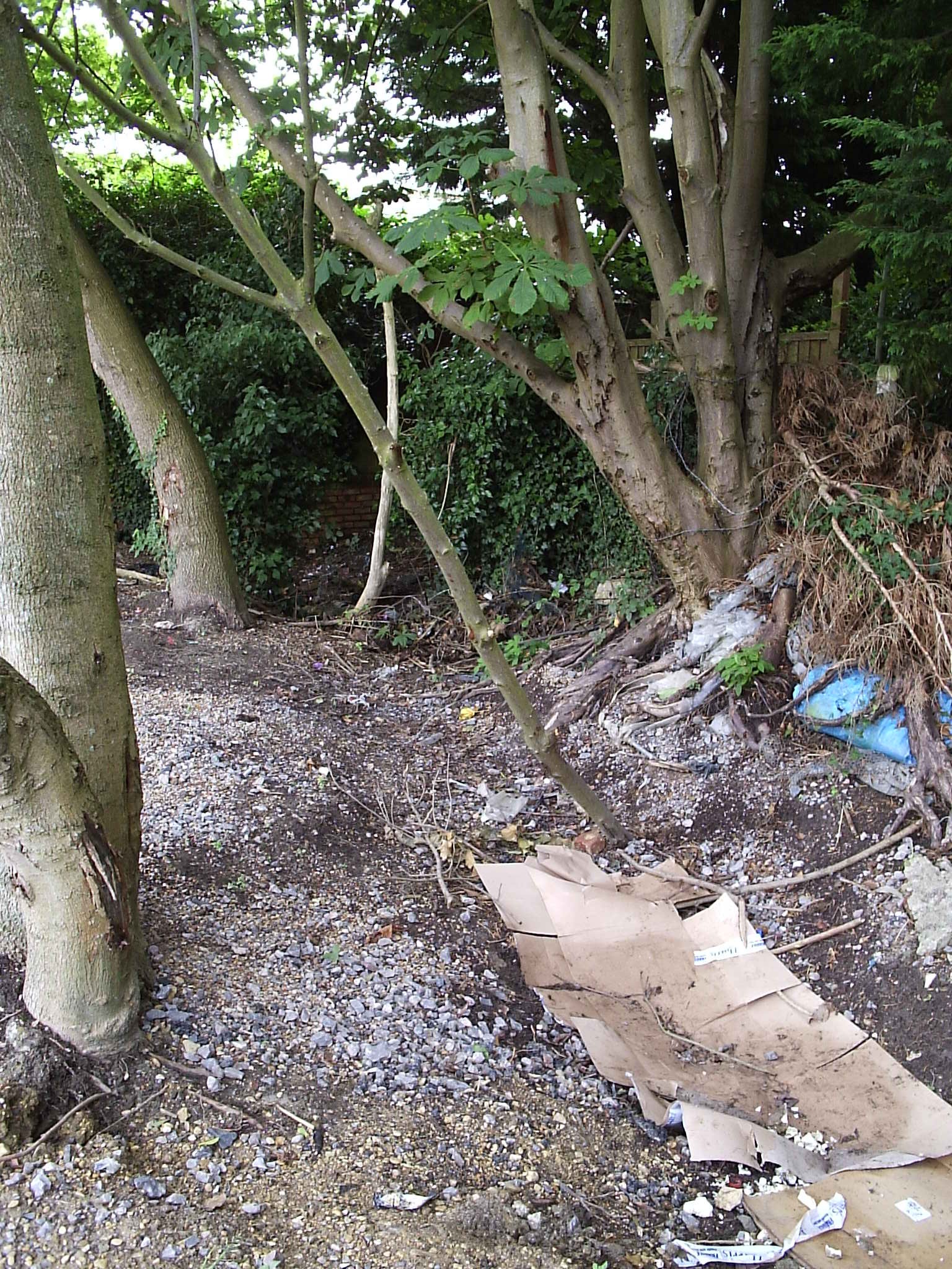 Dried-up course of Pill Ditch south of Millbrook shops, 24 July 2007